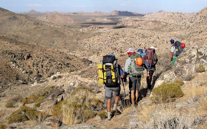 A group of adults wearing backpacks hike through the desert landscape of Joshua Tree National Park. 